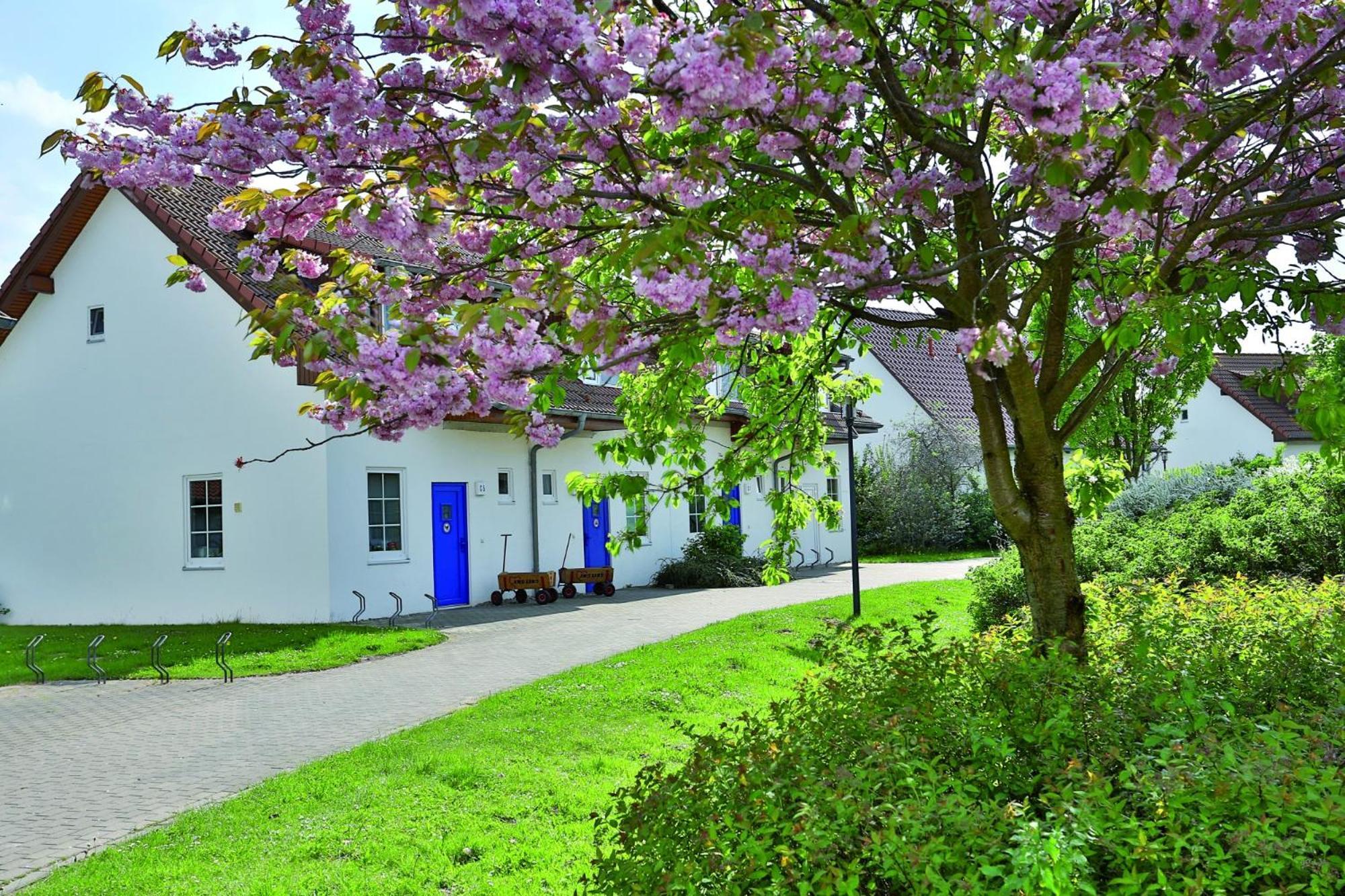 Feriendorf Rerik Exterior photo